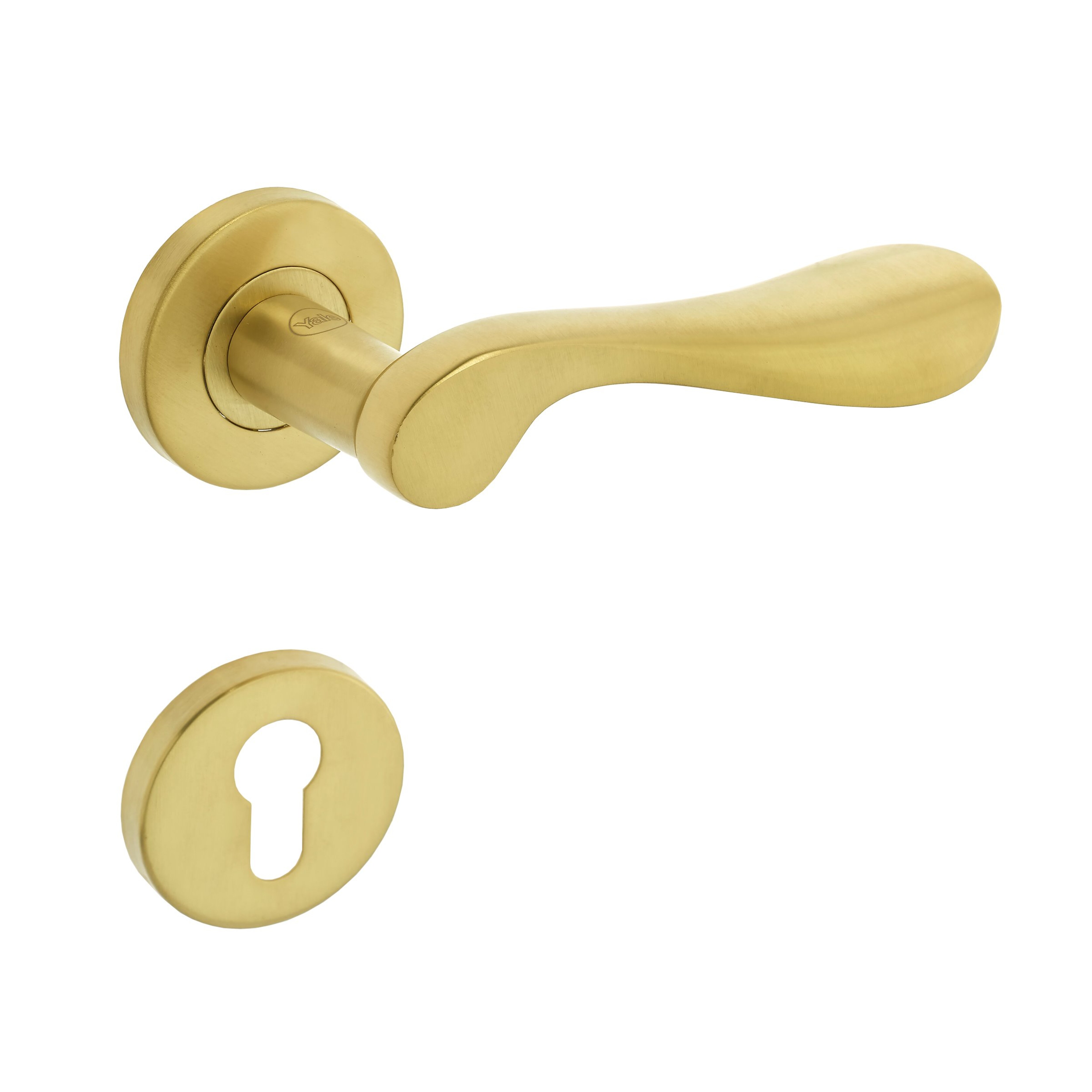 Image: No description