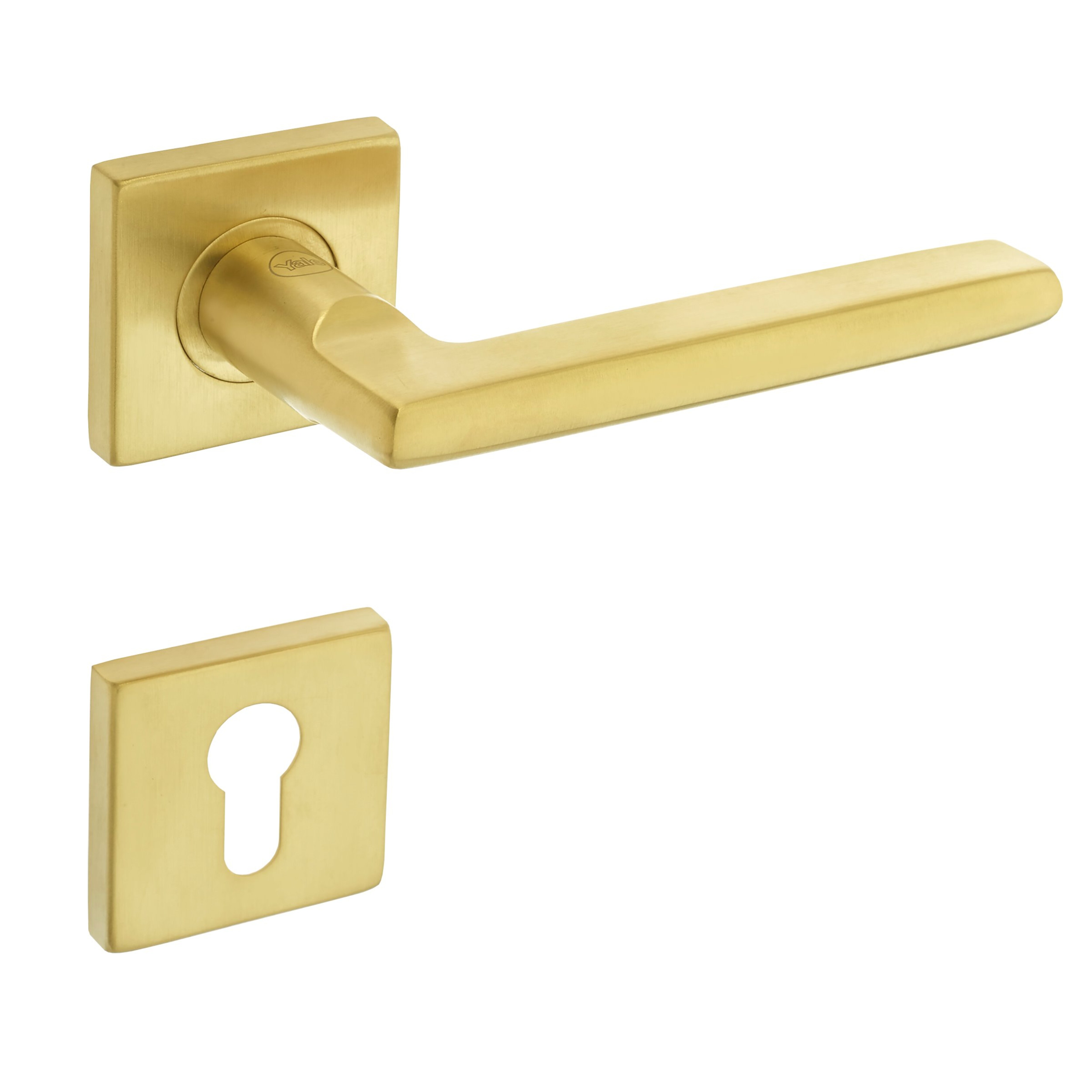 Image: No description