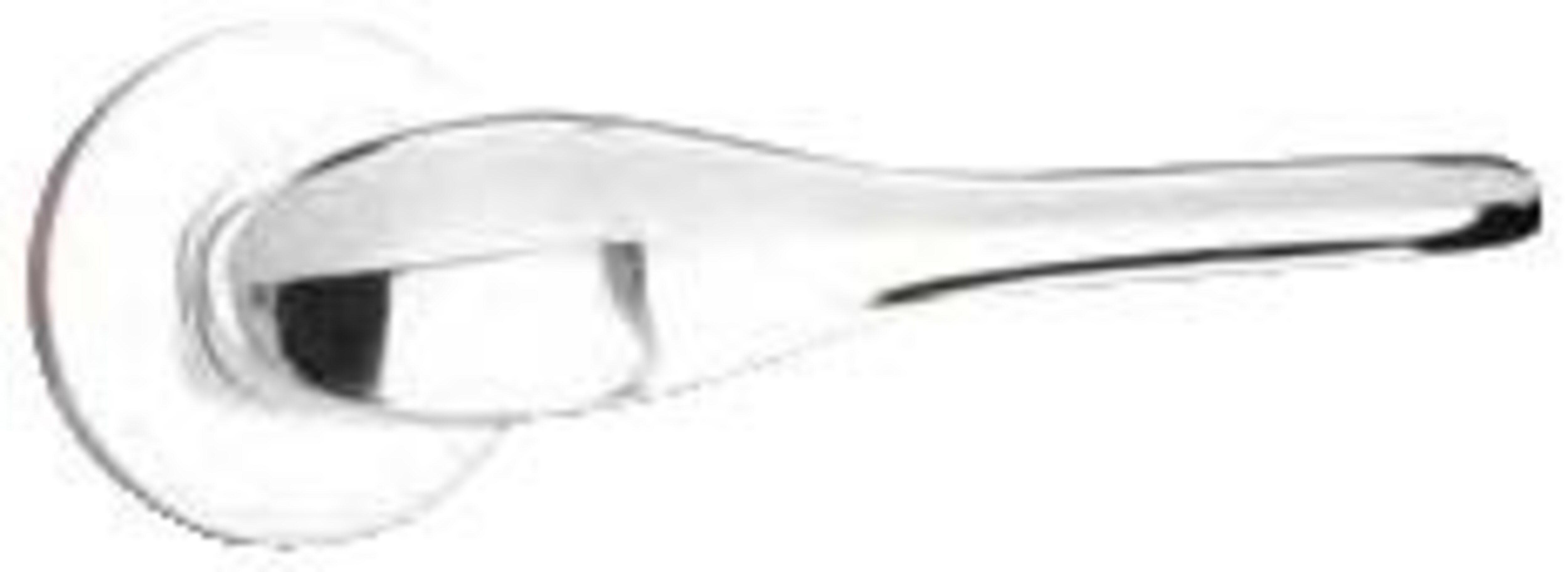 Image: No description