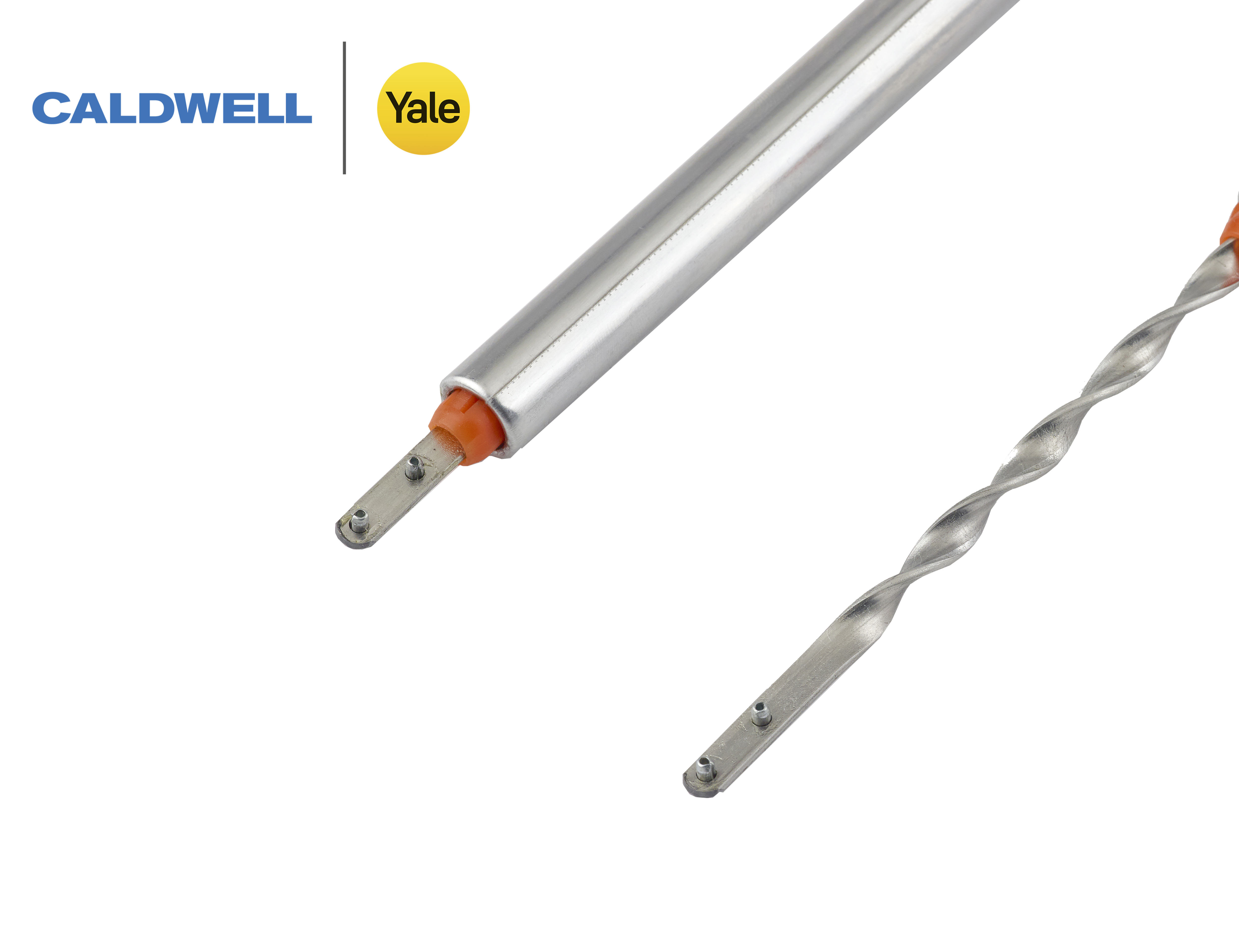 Image: No description