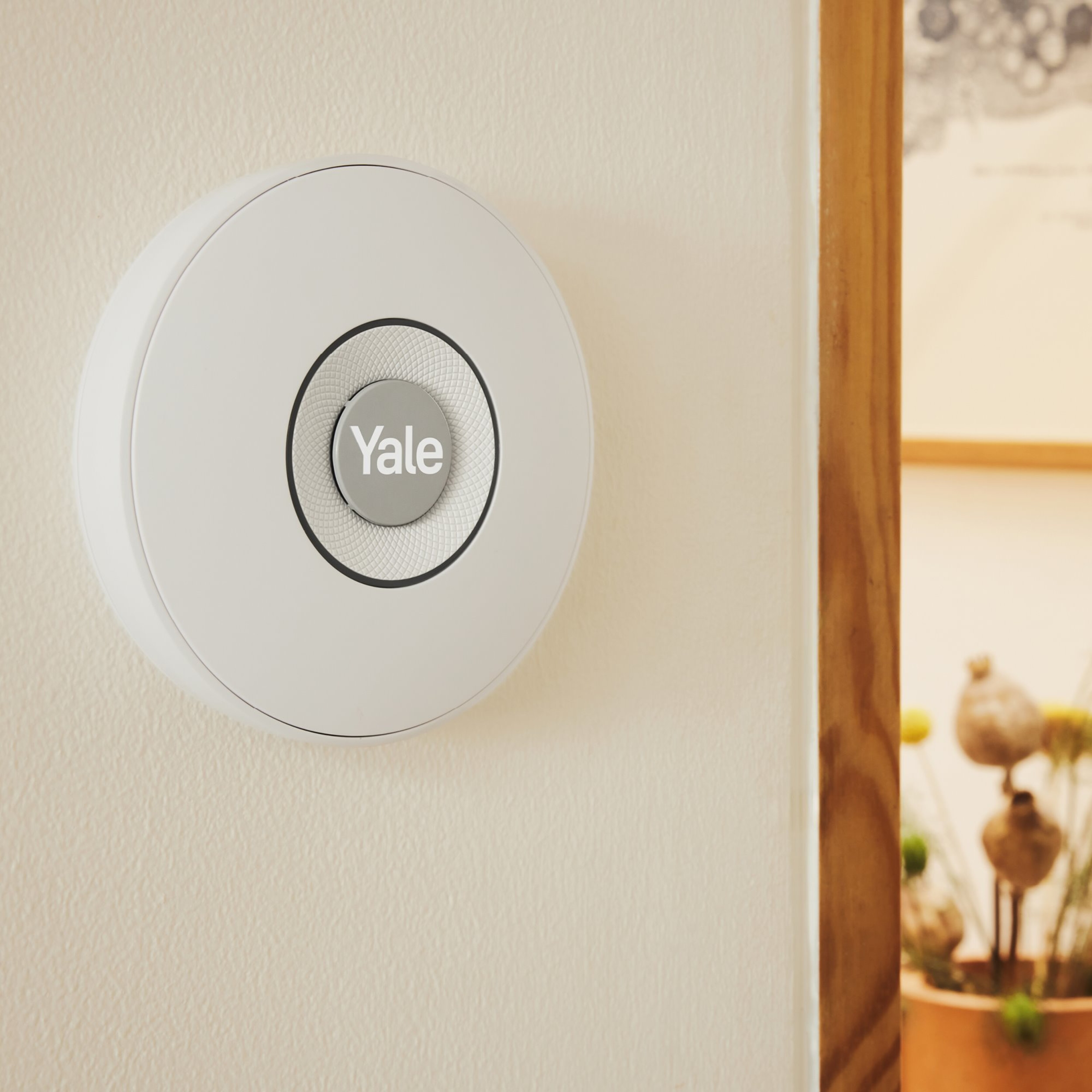 Image: No description