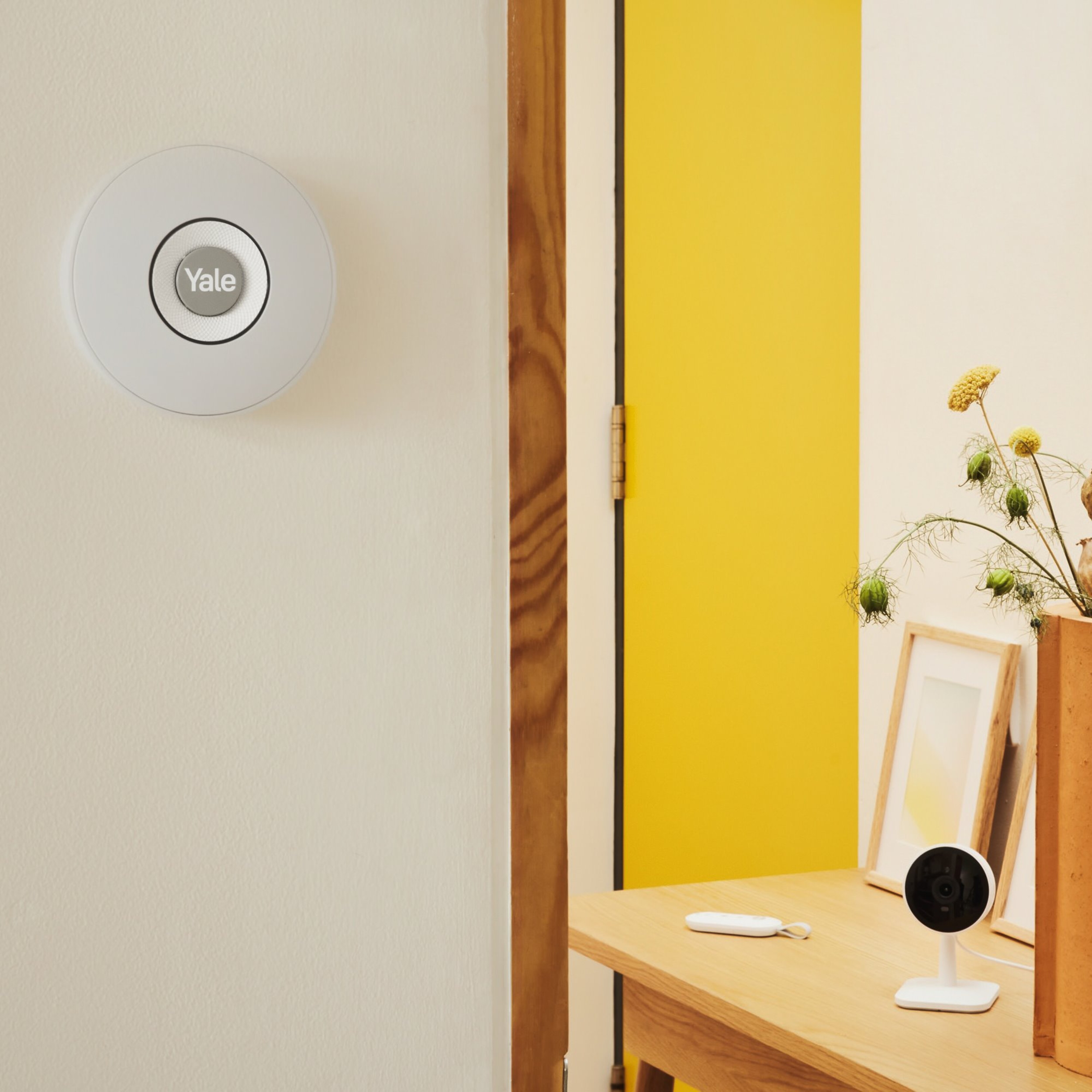 Image: No description