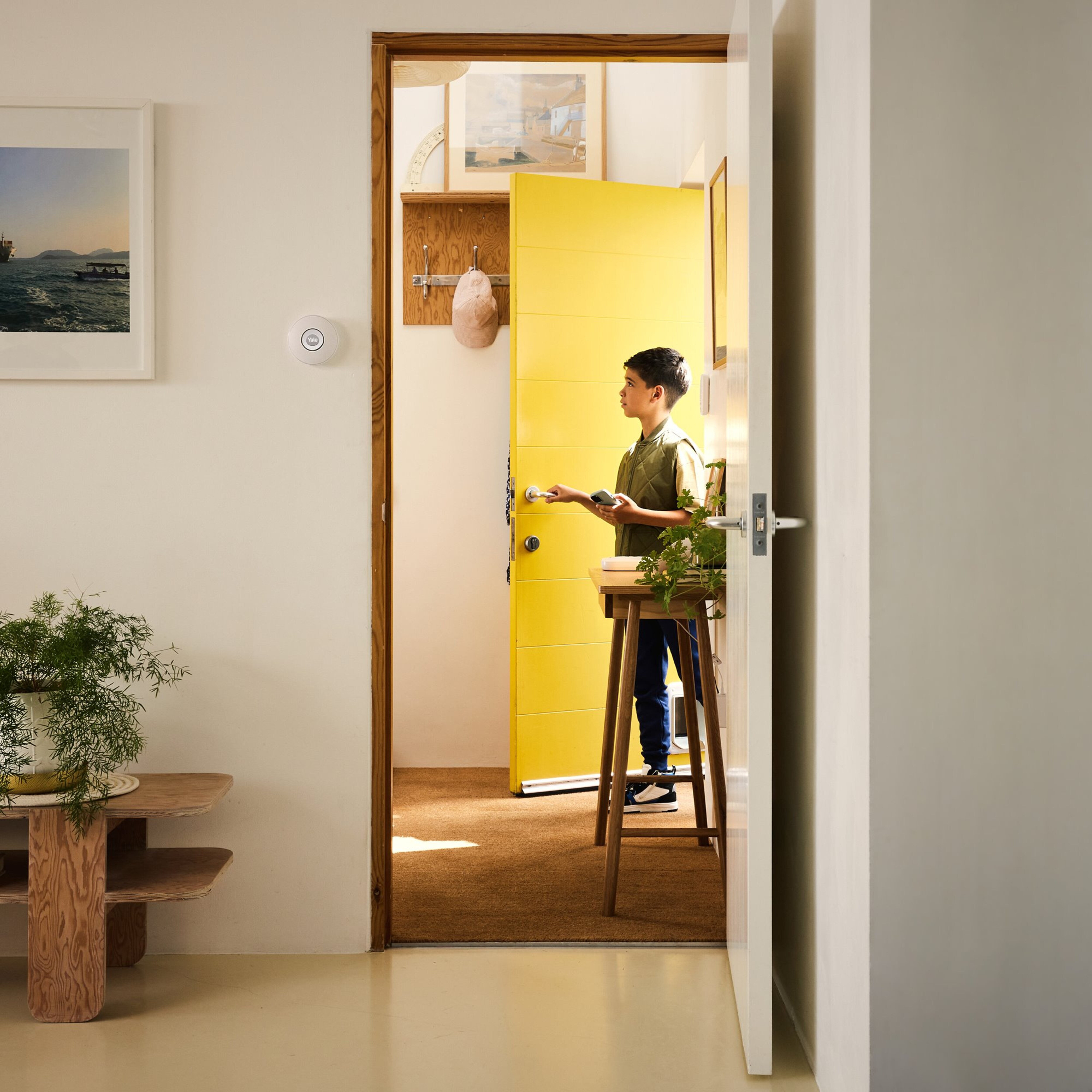 Image: No description