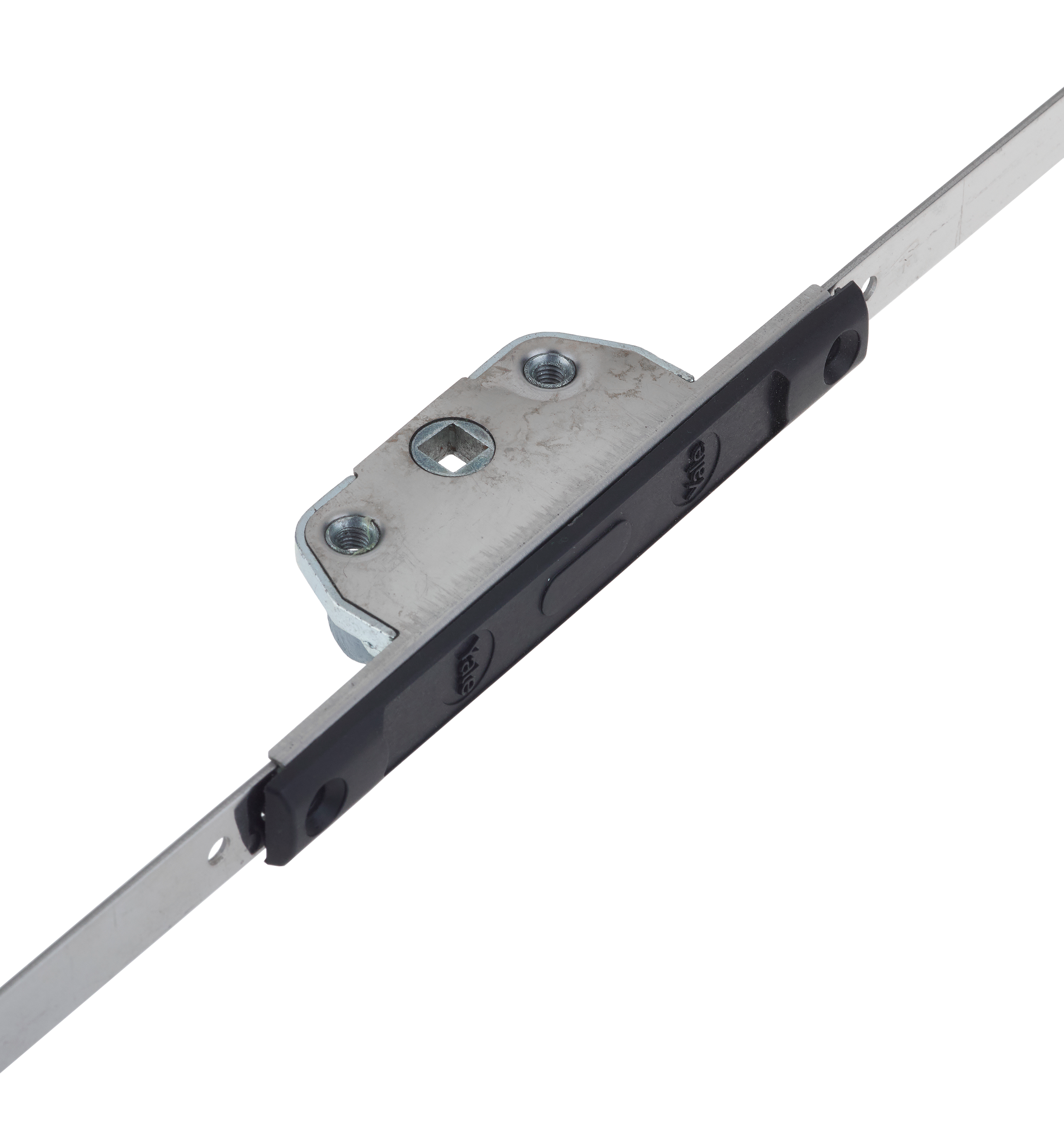 Image: No description