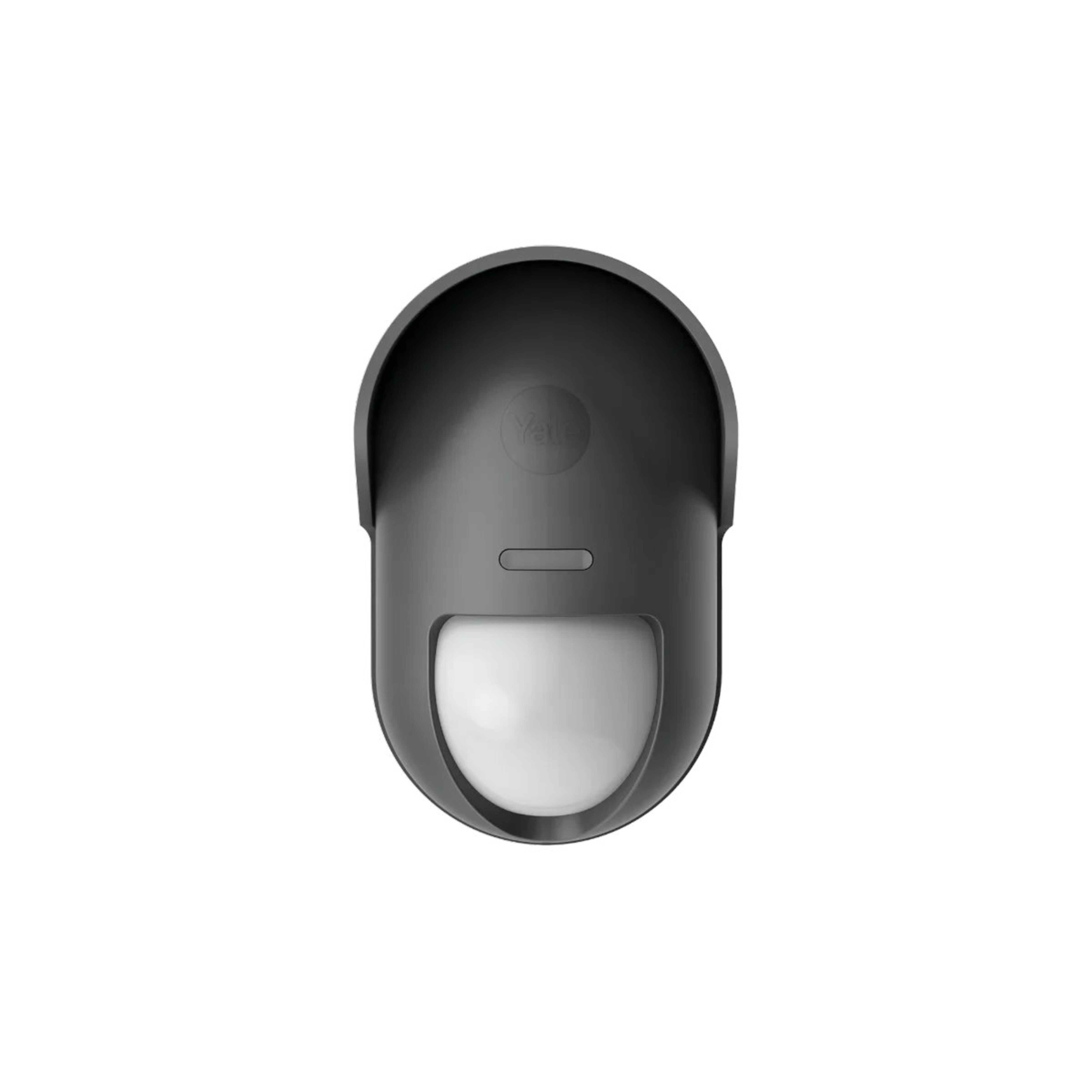 Image: No description